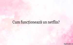 Cum funcționează un netflix