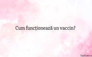 Cum funcționează un vaccin