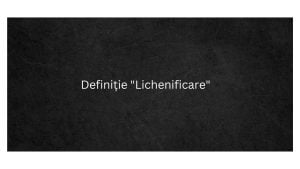Definiție Lichenificare