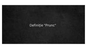Definiție Prunc