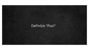 Definiție Puci