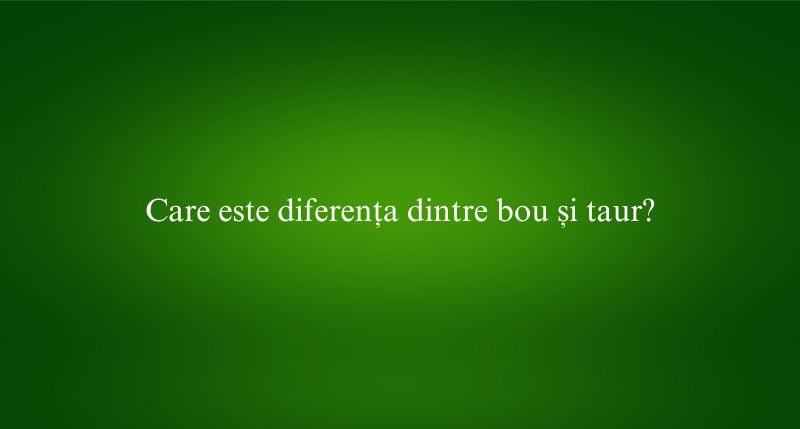Care este diferența dintre bou și taur