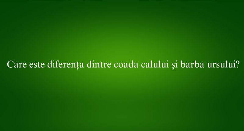 Care este diferența dintre coada calului și barba ursului