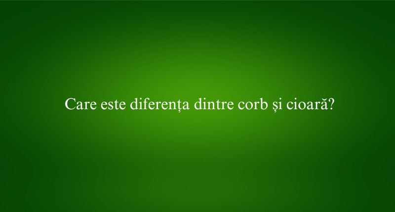 Care este diferența dintre corb și cioară
