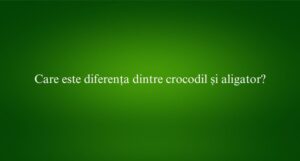 Care este diferența dintre crocodil și aligator