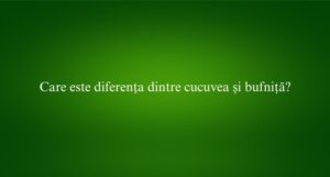 Care este diferența dintre cucuvea și bufniță