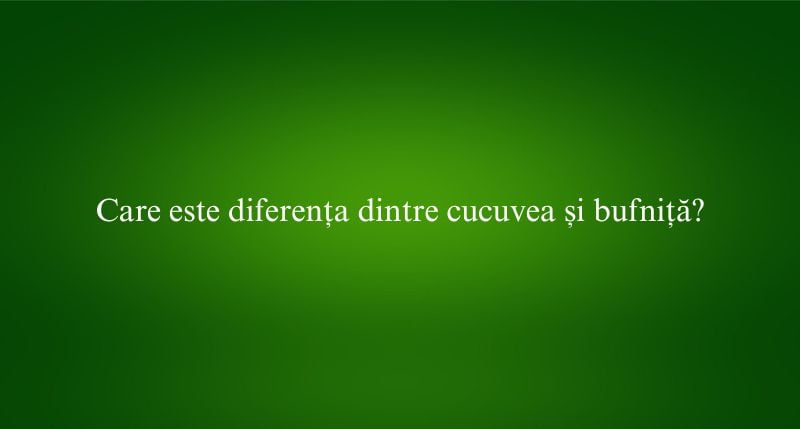Care este diferența dintre cucuvea și bufniță