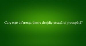 Care este diferența dintre drojdie uscată și proaspătă?