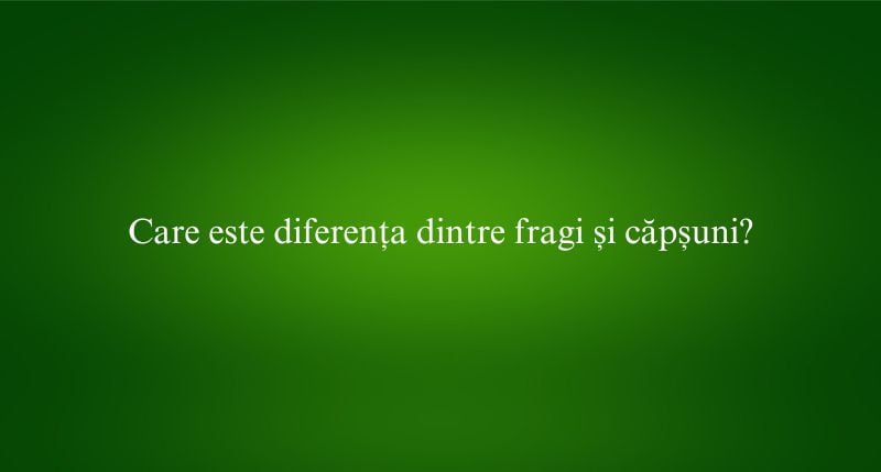 Care este diferența dintre fragi și căpșuni