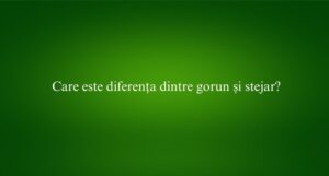 Care este diferența dintre gorun și stejar