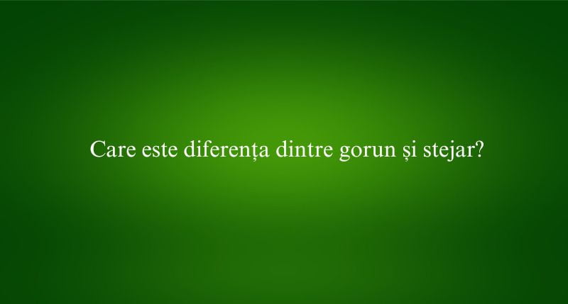Care este diferența dintre gorun și stejar
