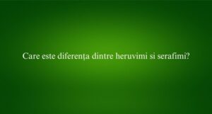Care este diferența dintre heruvimi si serafimi