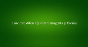 Care este diferența dintre magenta și fucsia
