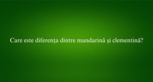 Care este diferența dintre mandarină și clementină