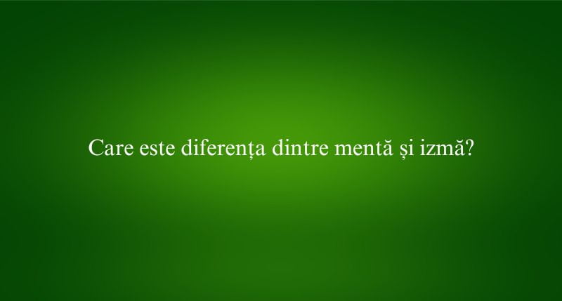 Care este diferența dintre mentă și izmă