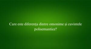 Care este diferența dintre omonime și cuvintele polisemantice