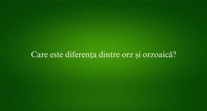 Care este diferența dintre orz și orzoaică