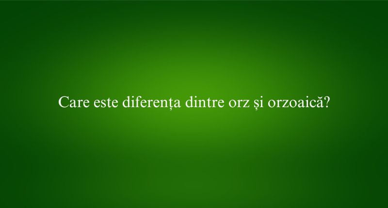 Care este diferența dintre orz și orzoaică