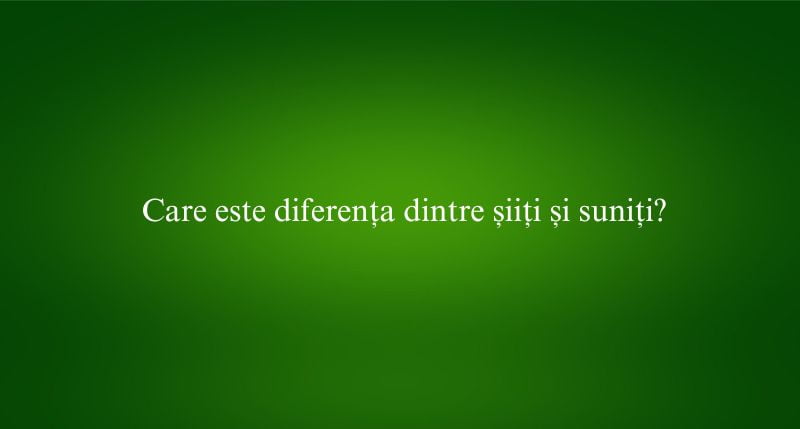 Care este diferența dintre șiiți și suniți