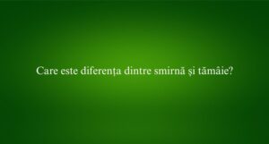 Care este diferența dintre smirnă și tămâie