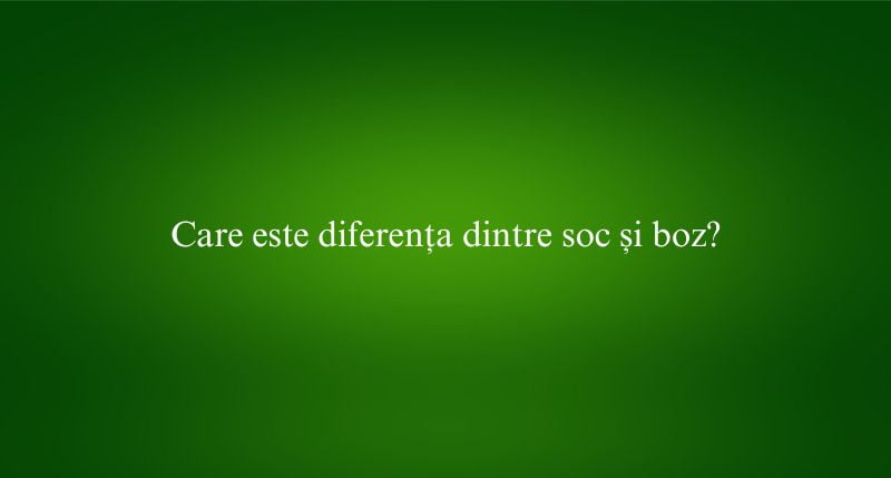 Care este diferența dintre soc și boz