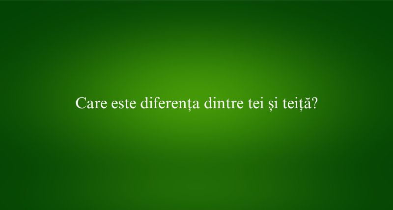 Care este diferența dintre tei și teiță