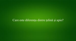 Care este diferența dintre țelină și apio