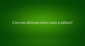 Care este diferența dintre țuică și pălincă