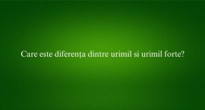 Care este diferența dintre urimil si urimil forte