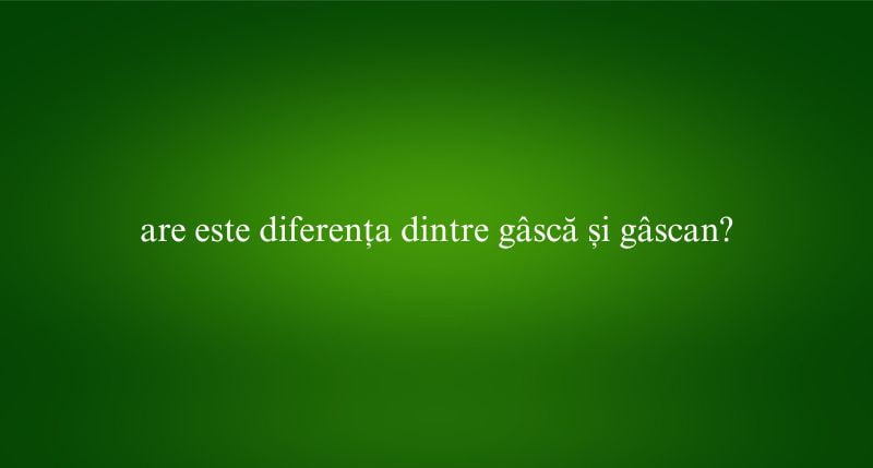 are este diferența dintre gâscă și gâscan