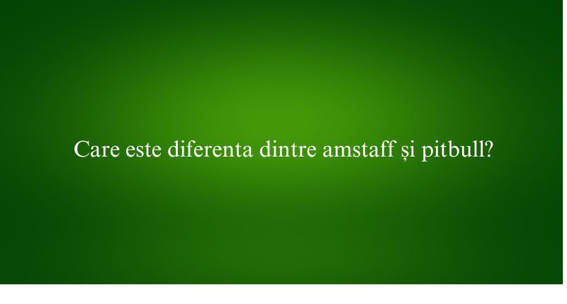 Care este diferenta dintre amstaff și pitbull