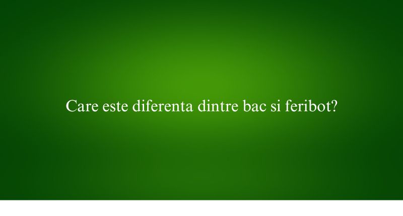 Care este diferenta dintre bac si feribot?
