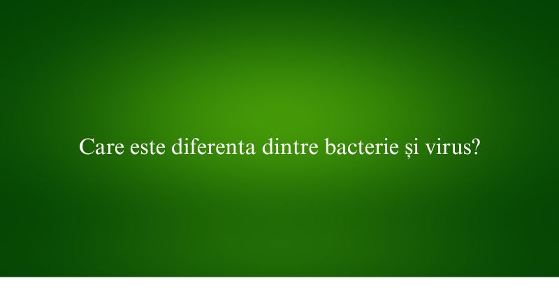 Care este diferenta dintre bacterie și virus