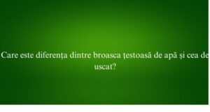 Care este diferența dintre broasca țestoasă de apă și cea de uscat