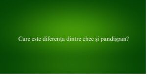 Care este diferența dintre chec și pandișpan