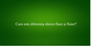 Care este diferența dintre flaut și fluier