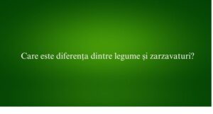 Care este diferența dintre levănțică și lavandă?
