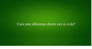 Care este diferența dintre orz și ovăz