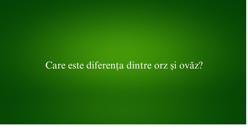 Care este diferența dintre orz și ovăz