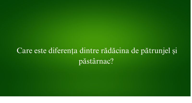 Care este diferența dintre rădăcina de pătrunjel și păstârnac