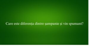 Care este diferența dintre șampanie și vin spumant