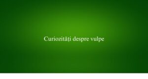 Curiozități despre vulpe