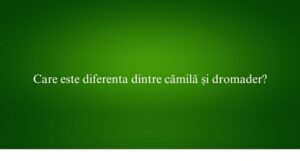 Care este diferenta dintre cămilă și dromader