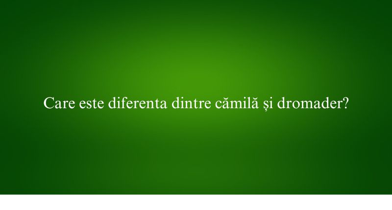 Care este diferenta dintre cămilă și dromader
