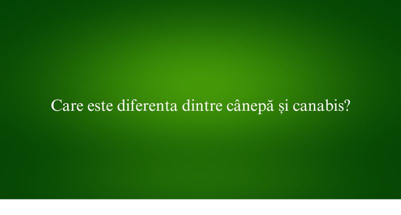 Care este diferenta dintre cânepă și canabis