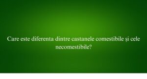 Care este diferenta dintre castanele comestibile și cele necomestibile