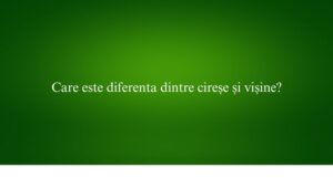 Care este diferenta dintre cireșe și vișine