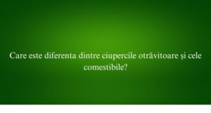 Care este diferenta dintre ciupercile otrăvitoare și cele comestibile