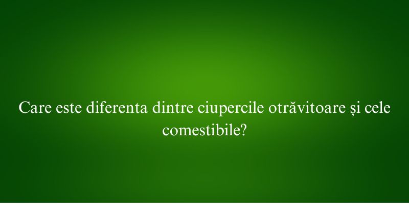 Care este diferenta dintre ciupercile otrăvitoare și cele comestibile