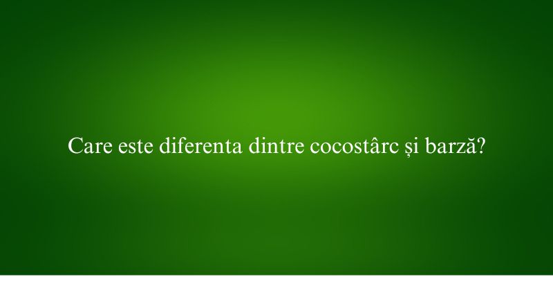 Care este diferenta dintre cocostârc și barză